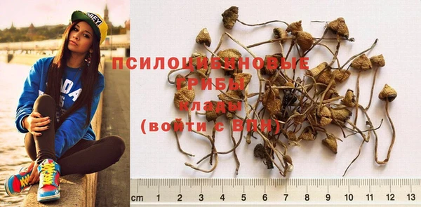 прущие крисы Балахна
